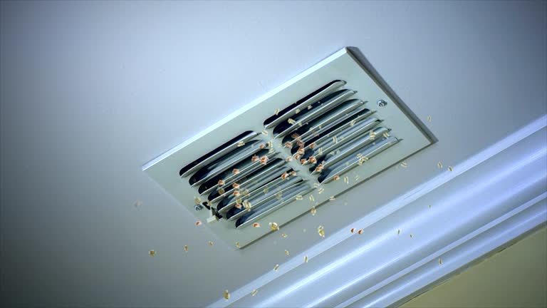Best Professional Duct Cleaning Services  in West Branch, MI