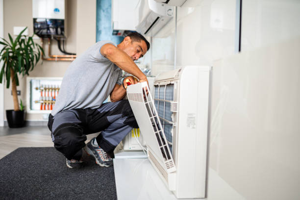 Best Local Air Duct Cleaning Services  in West Branch, MI